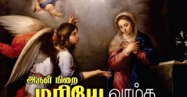 புனித கன்னி மரியாள்: உலகிற்கும், திருஅவைக்கும் கடவுள் தந்த பரிசு