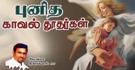 Homily
