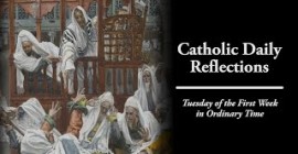 Homily