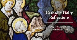 Homily