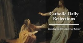 Homily